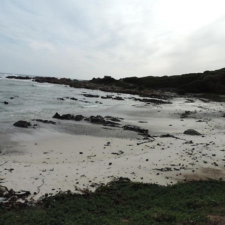 Wave Dancer Bed & Breakfast Gansbaai Bagian luar foto