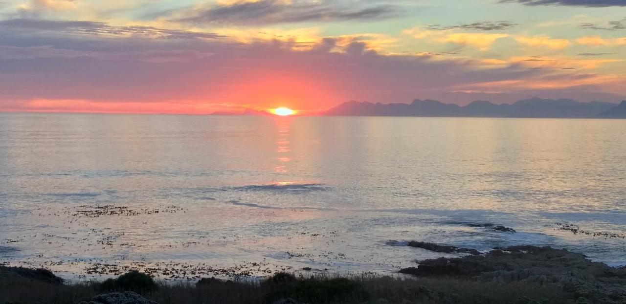 Wave Dancer Bed & Breakfast Gansbaai Bagian luar foto