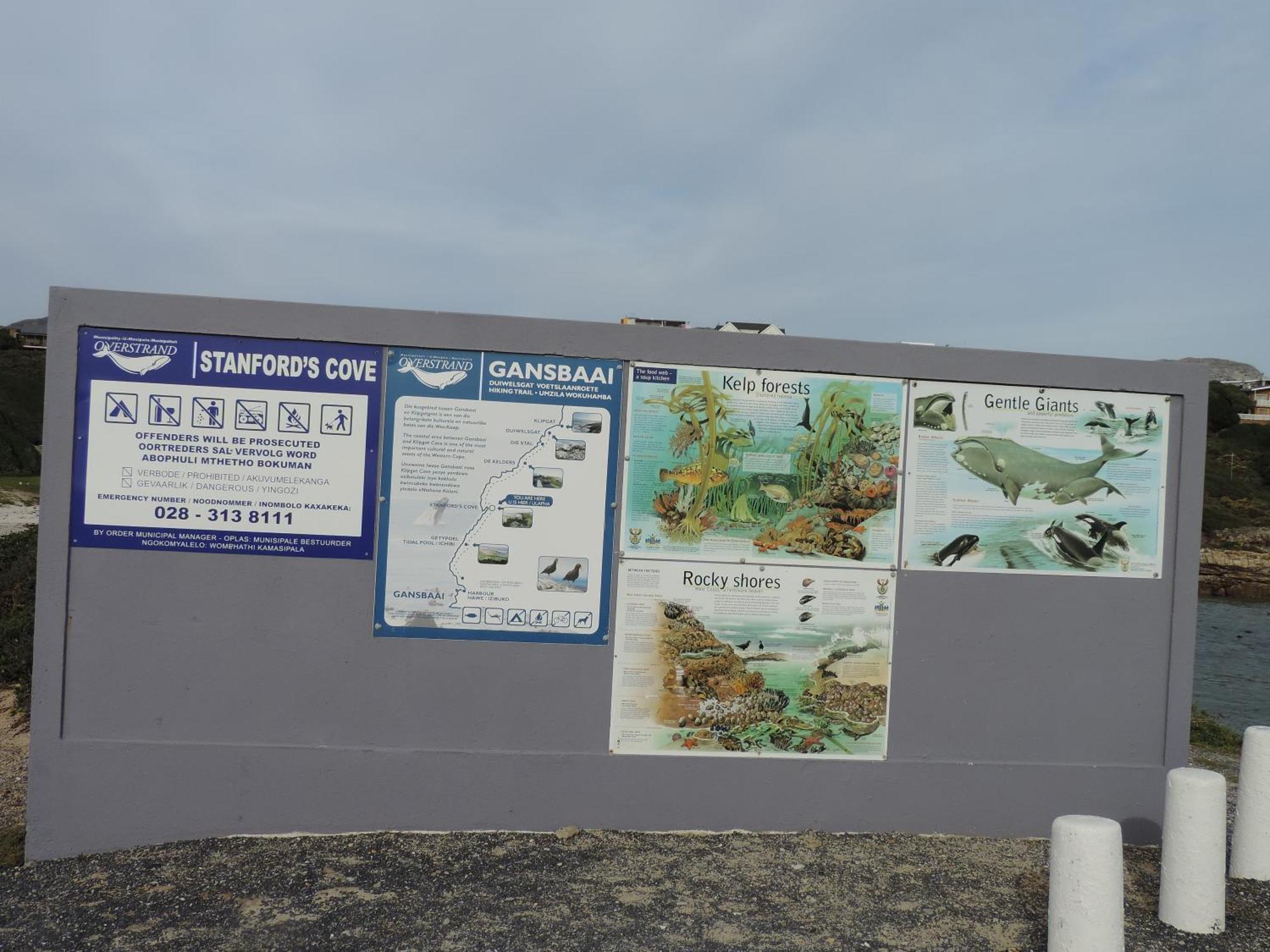 Wave Dancer Bed & Breakfast Gansbaai Bagian luar foto