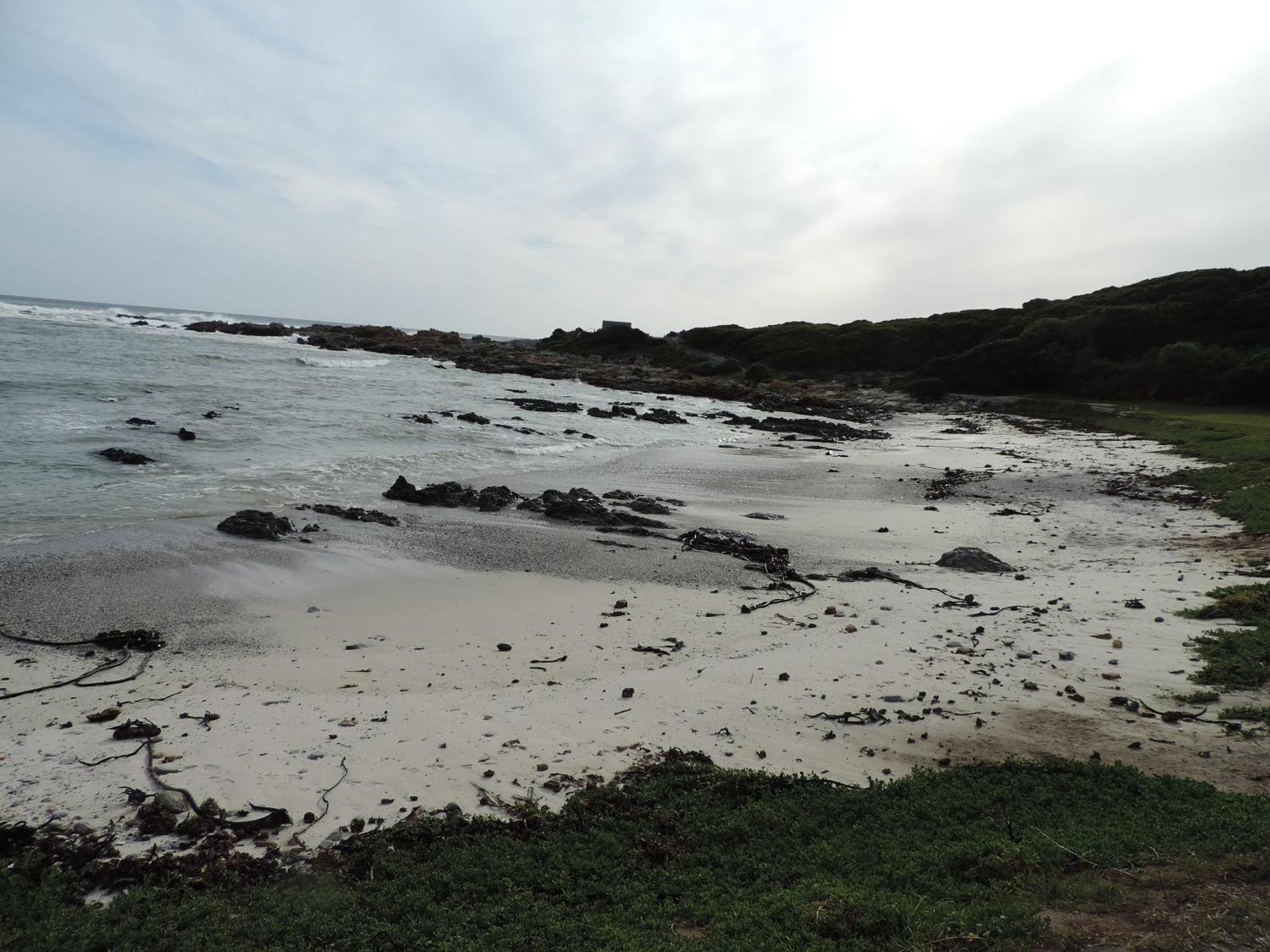 Wave Dancer Bed & Breakfast Gansbaai Bagian luar foto