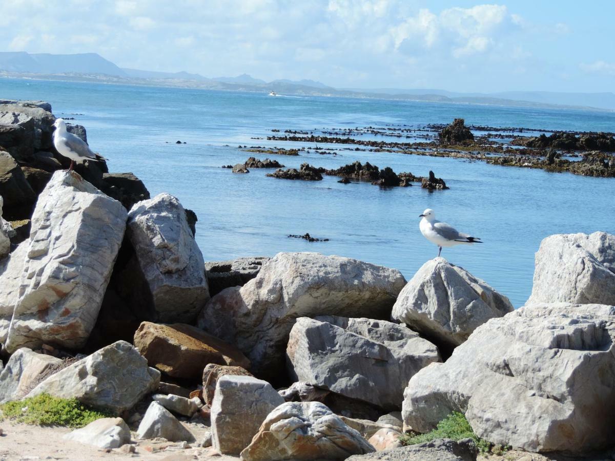 Wave Dancer Bed & Breakfast Gansbaai Bagian luar foto