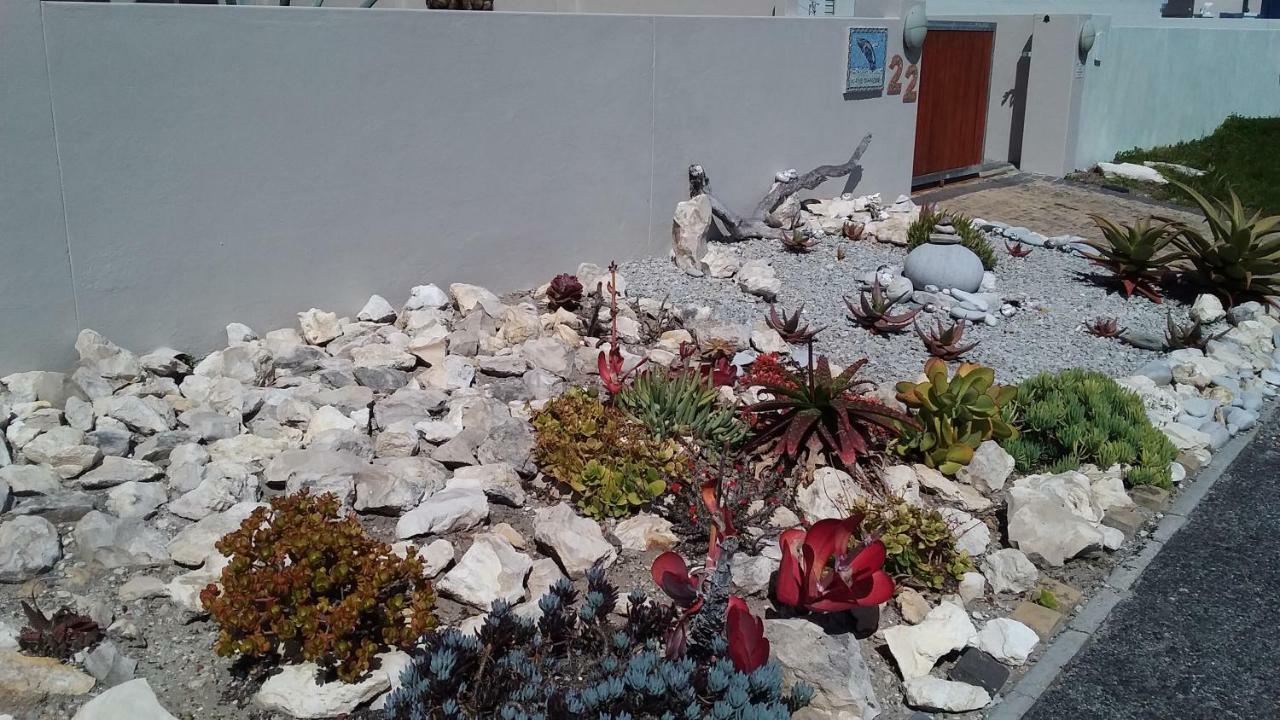 Wave Dancer Bed & Breakfast Gansbaai Bagian luar foto
