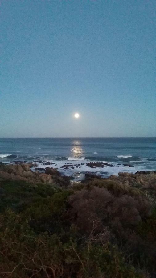 Wave Dancer Bed & Breakfast Gansbaai Bagian luar foto