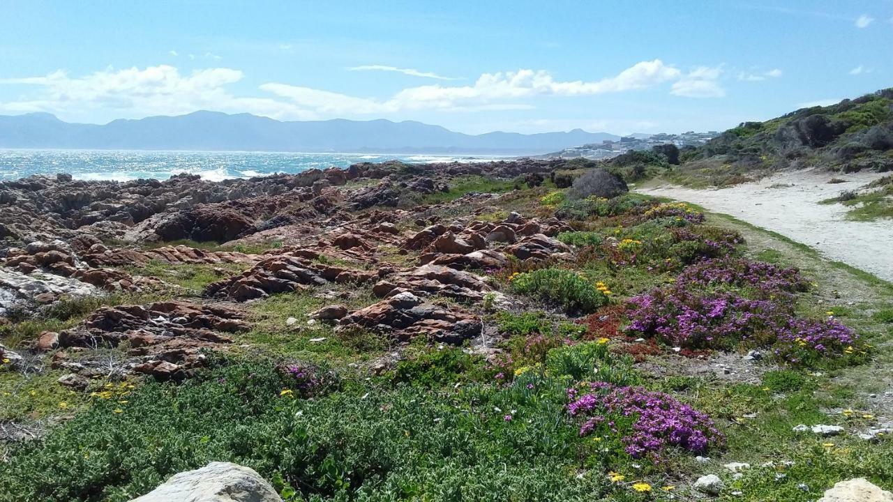 Wave Dancer Bed & Breakfast Gansbaai Bagian luar foto