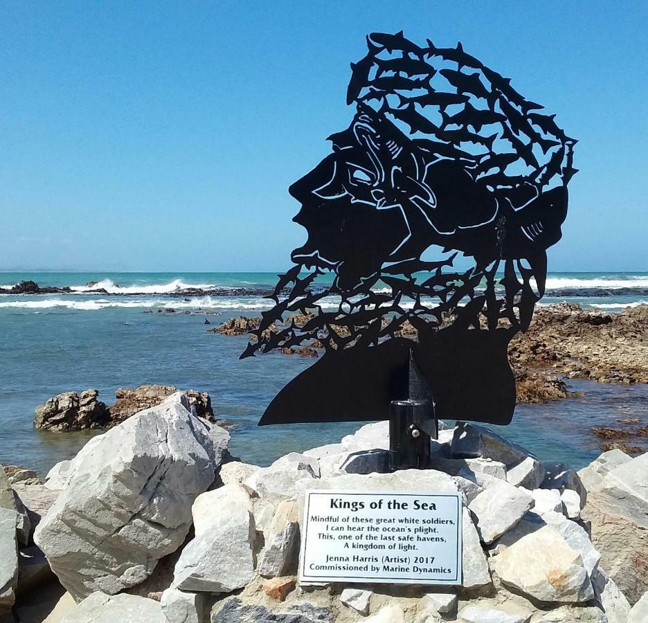 Wave Dancer Bed & Breakfast Gansbaai Bagian luar foto